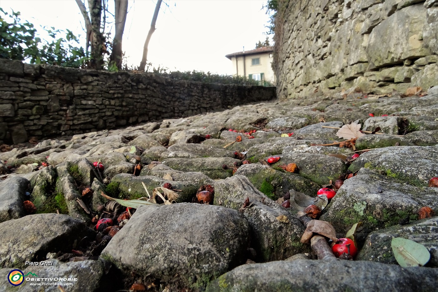 43 Fondo acciottolato della Via dello Scorlazzone.JPG